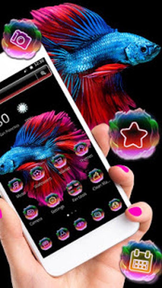 Betta Fish Theme for Android - Free download and software reviews - CNET  Download