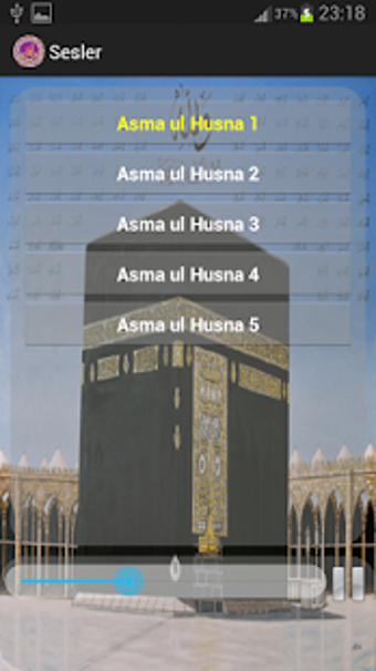Image 2 for 99 names of Allah with so…