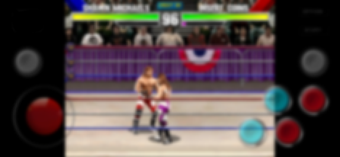 Image 0 for WWF Wresteling Mania