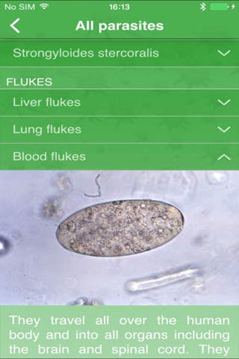 Imagen 0 para Parasite Test - Inner Hea…