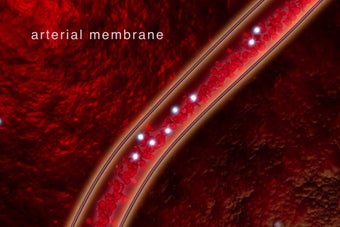 Image 0 for Oxidative Phosphorylation