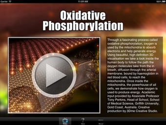 Image 7 for Oxidative Phosphorylation