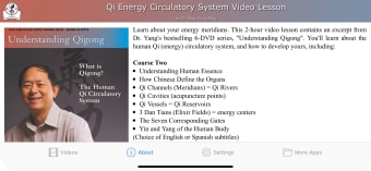 Image 0 for Qi Energy Video Lesson