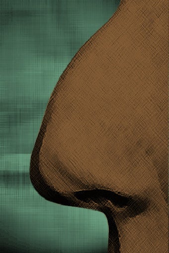 Image 3 for Try My Nose