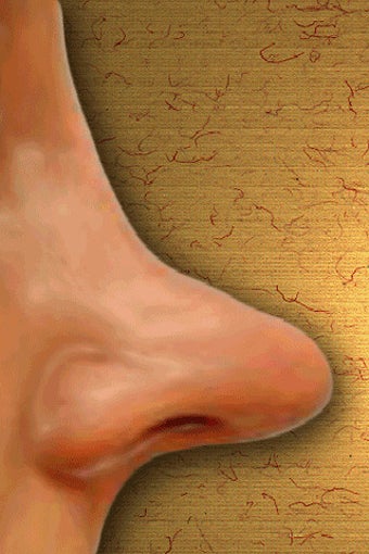 Image 0 for Try My Nose