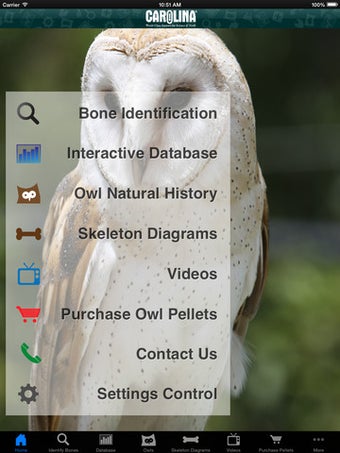 Image 0 for Owl Pellet Activities HD