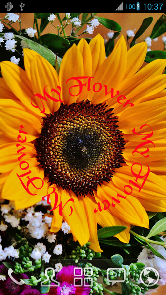 Image 0 for Rotate My Name Live Wallp…