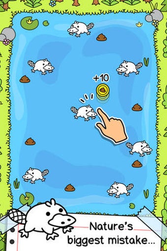 Image 0 for Platypus Evolution | The …