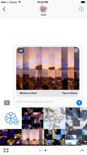 Image 1 for WIT  Puzzles