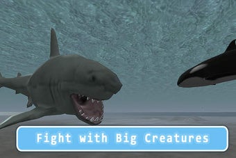 Image 0 for Orca Killer Whale Surviva…