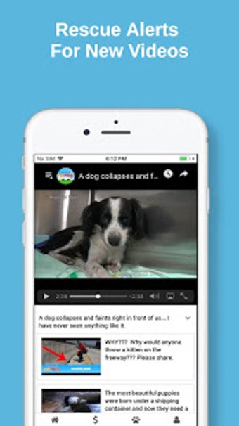 Imagen 1 para Hope For Paws