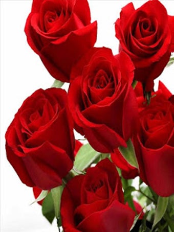 Image 2 for Roses And Flowers
