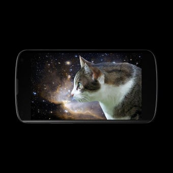 Image 1 for Cat Laser