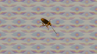 Imagen 0 para Michael the Cockroach for…