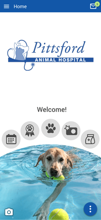Image 2 for PittsfordVet