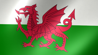 Image 0 for National Anthem - Wales