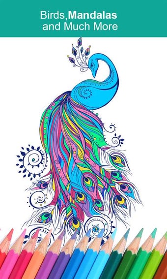 Imagen 0 para Adult Coloring Book With …