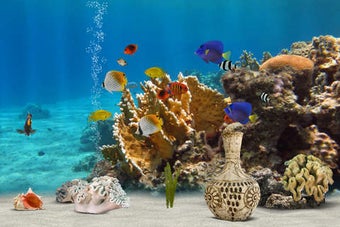 Image 0 for MyReef 3D Aquarium 2 Lite