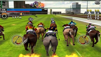 Image 2 for iHorse GO offline: Horse …