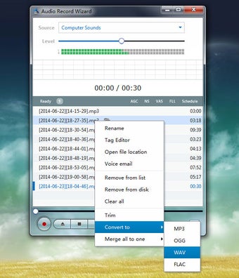 Image 2 for Audio Record Wizard