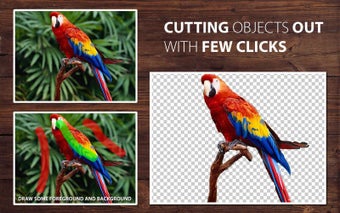 Imagen 0 para PhotoScissors