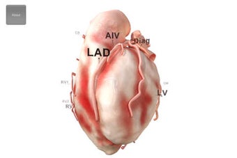 Image 0 for HeartVoyager