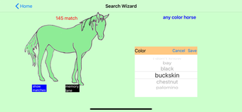 Image 1 for Chincoteague Pony Names