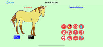 Image 2 for Chincoteague Pony Names