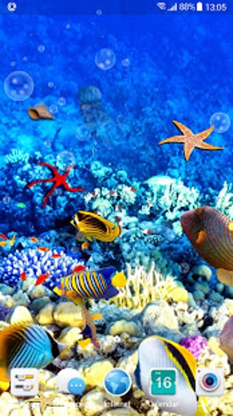 Image 3 for Aquarium Fish Live Wallpa…