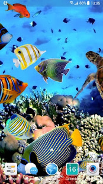 Image 0 for Aquarium Fish Live Wallpa…