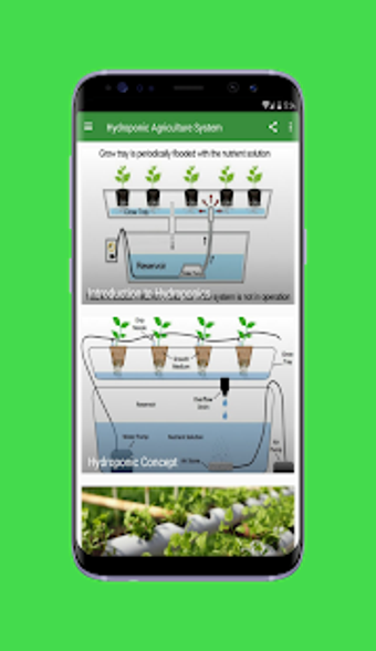Imagen 3 para Hydroponic Agriculture Sy…