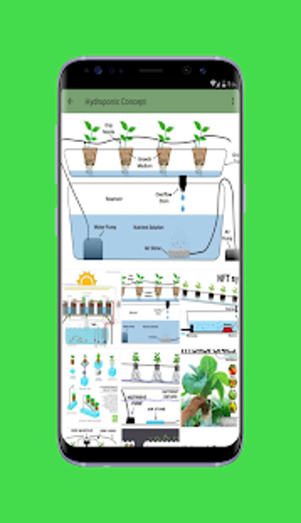 Imagen 2 para Hydroponic Agriculture Sy…