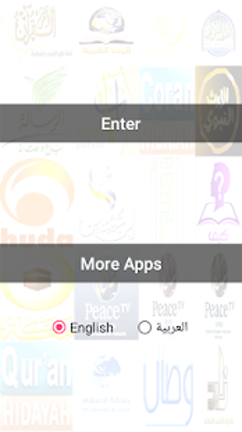 Image 2 for Islamic Channels