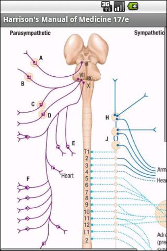 Image 1 for Harrison's Manual of Medi…