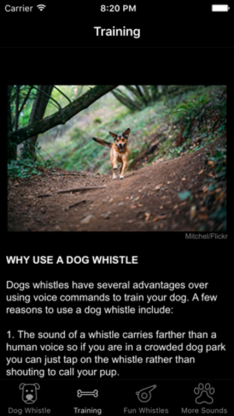 Image 2 for Dog Whistle & Training - …