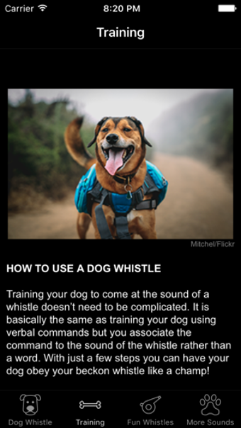 Image 3 for Dog Whistle & Training - …
