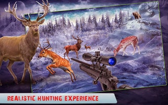 Image 2 for Wild Animal Hunter