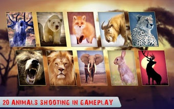 Image 1 for Wild Animal Hunter