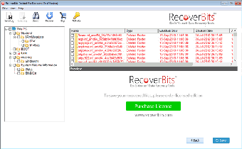 Image 0 for RecoverBits Deleted File …