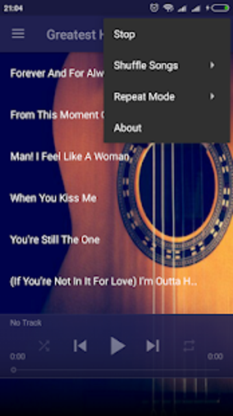 Imagen 0 para Best Of Shania Twain