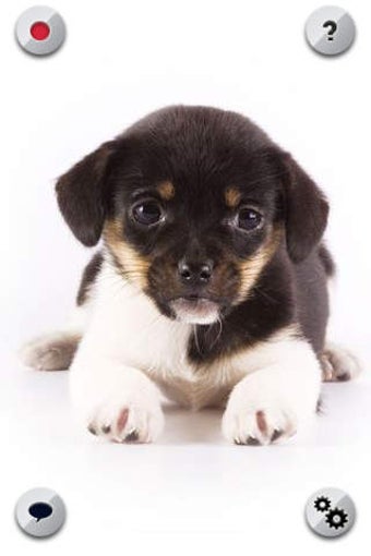 Image 0 for Talking Dog