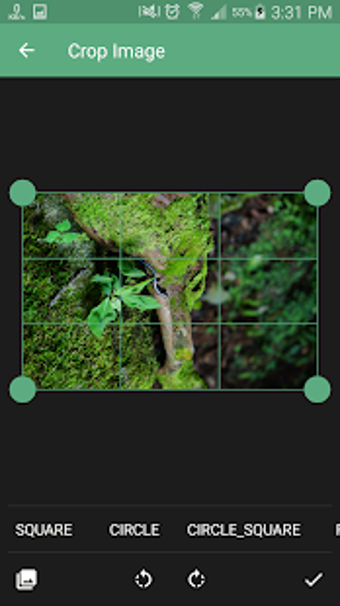 Imagen 1 para Image Crop | Rotate