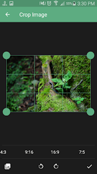 Imagen 3 para Image Crop | Rotate