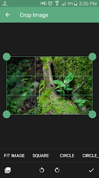 Imagen 2 para Image Crop | Rotate