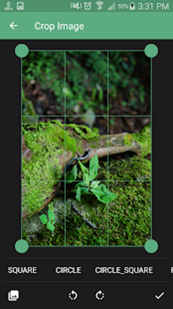 Imagen 0 para Image Crop | Rotate