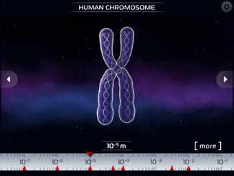 Image 7 for Science - Microcosmos 3D …