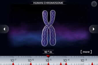 Image 5 for Science - Microcosmos 3D …