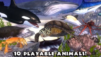 Image 1 for Ultimate Ocean Simulator