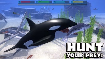Image 0 for Ultimate Ocean Simulator
