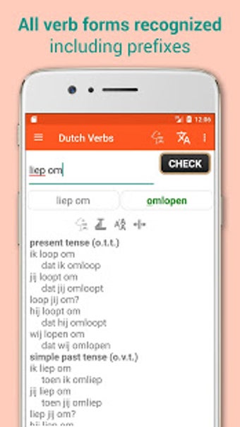 Imagen 1 para Dutch Verbs